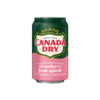 Canada Dry Strawberry Fruit Splash Ginger Ale - 355 ml